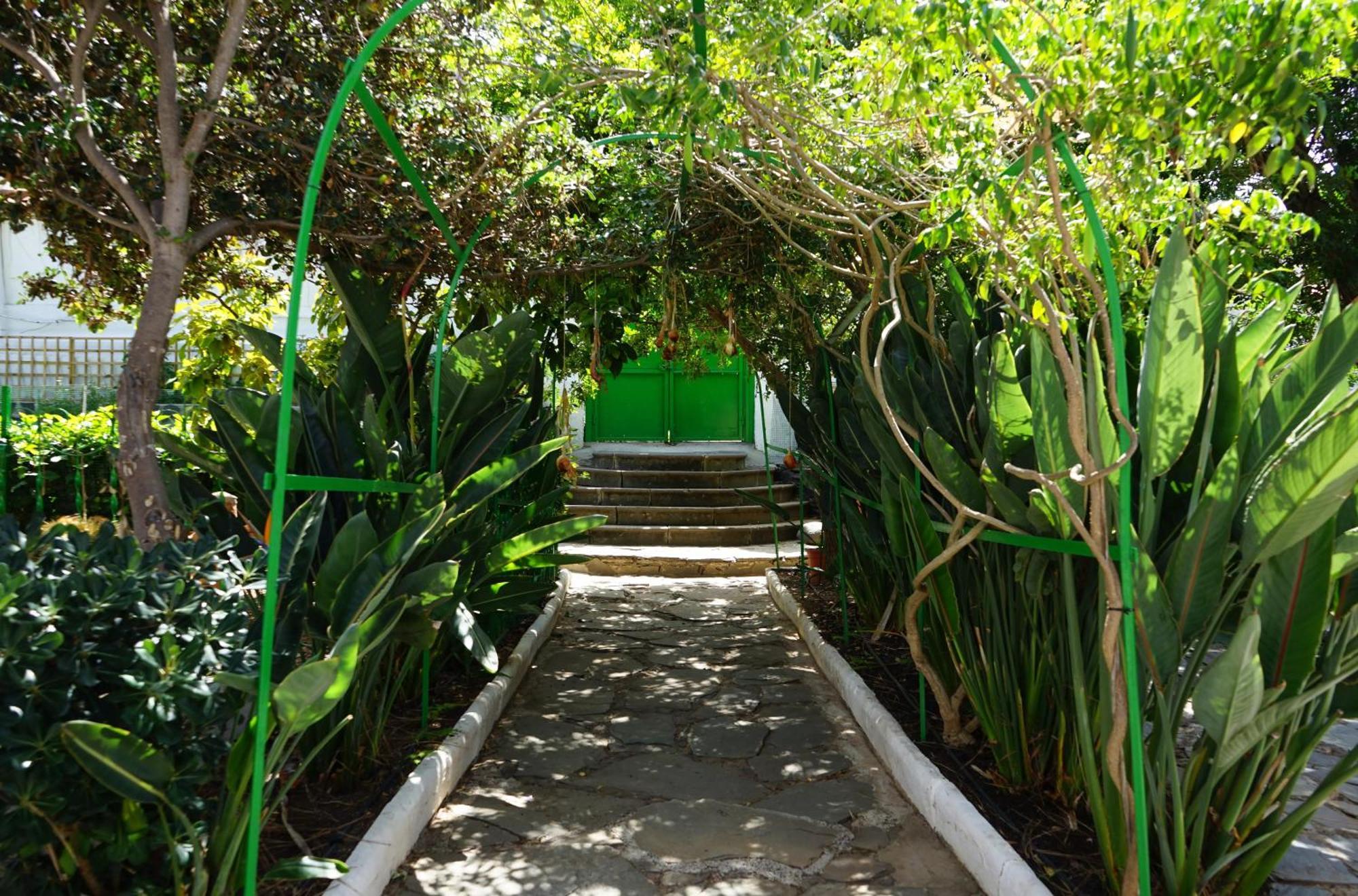 Villa Del Monte 圣布里吉达 外观 照片